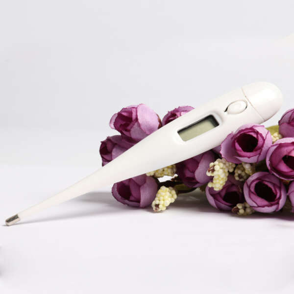 Accurate & Fast Digital Thermometer – Reliable Temperature Readings for Home & Medical Use - Image 2