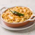 Creamy Hatch Chile Mac and Cheese That Breaks the Internet (And Your Dinner Rut)